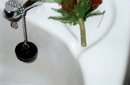 betrothal