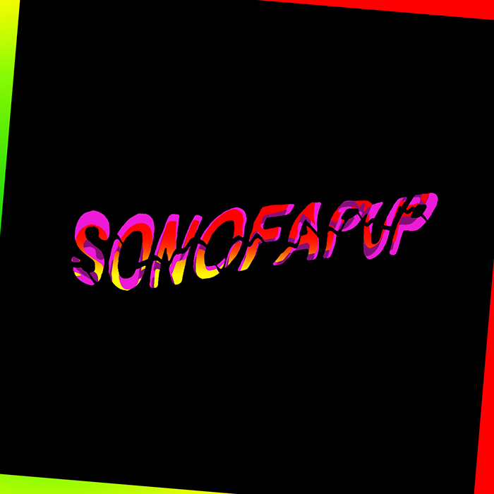 Sonofapup